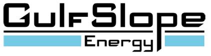 1 logo GulfSlope Energy