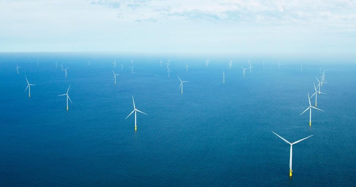 TotalEnergies and Ørsted Partner to Participate in Dutch Offshore Wind Tenders