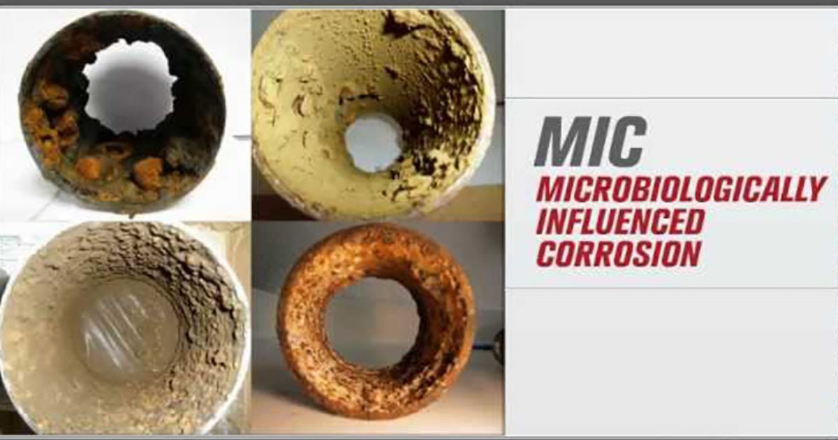 Billion-Dollar Microbial Corrosion Issue Tackled by a New Joint Industry Project